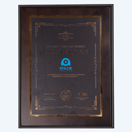 年度最佳创新实践奖